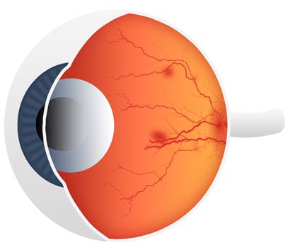 Eye Illustration